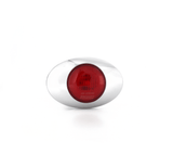 *Lucidity 22374 Series LED Marker Lamp*